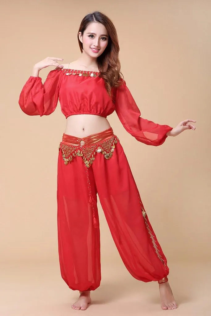 Belly Dance Chiffon Long Sleeves Top and Lantern Coins Pants Black, One Size
