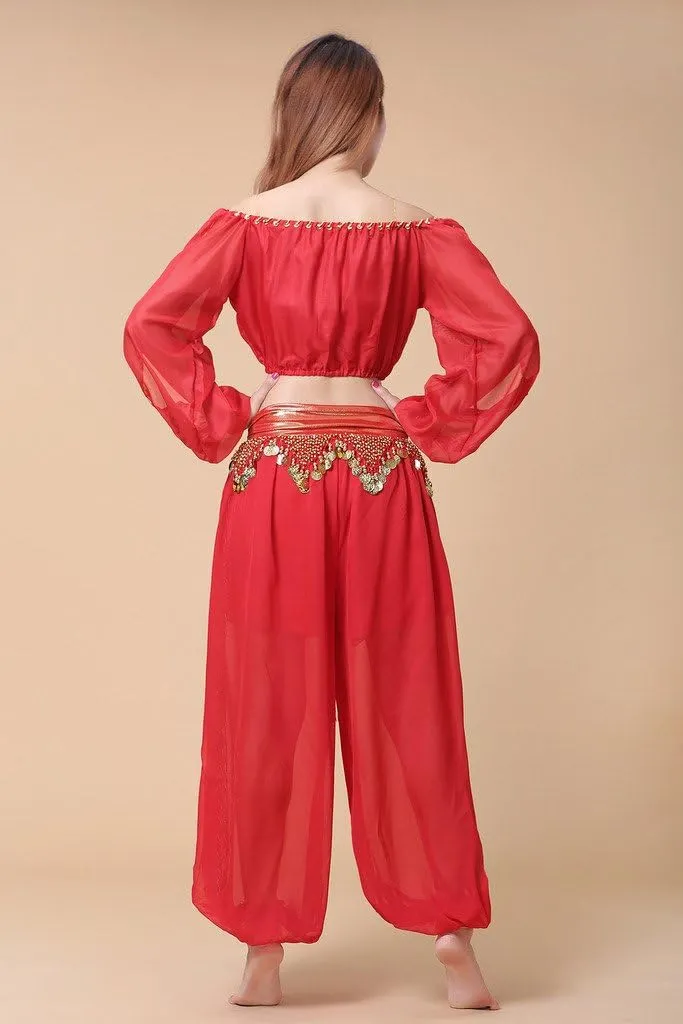 Belly Dance Chiffon Long Sleeves Top and Lantern Coins Pants Black, One Size