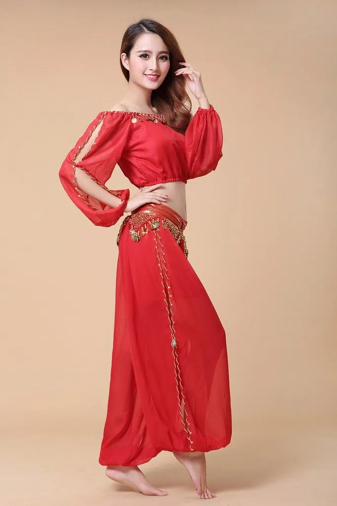Belly Dance Chiffon Long Sleeves Top and Lantern Coins Pants Black, One Size