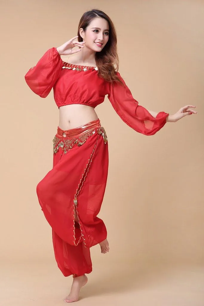 Belly Dance Chiffon Long Sleeves Top and Lantern Coins Pants Black, One Size