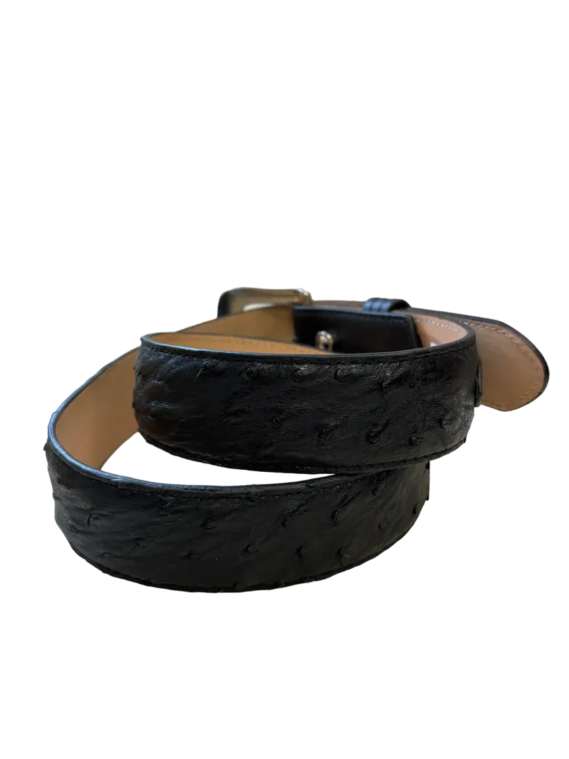 R. Watson Men's Black Full Quill Ostrich Belt